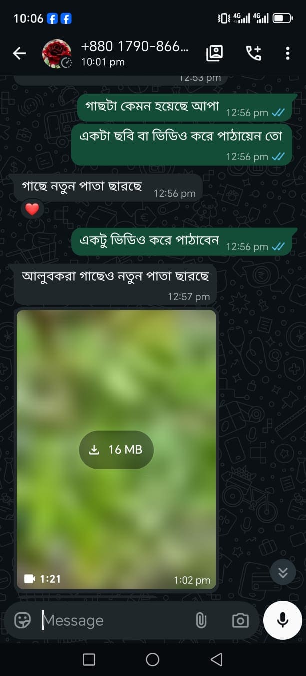 WhatsApp-Image-2026-05-04-at-10.46.22-PM-1.jpeg