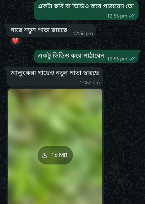 WhatsApp-Image-2026-05-04-at-10.46.22-PM-1.jpeg